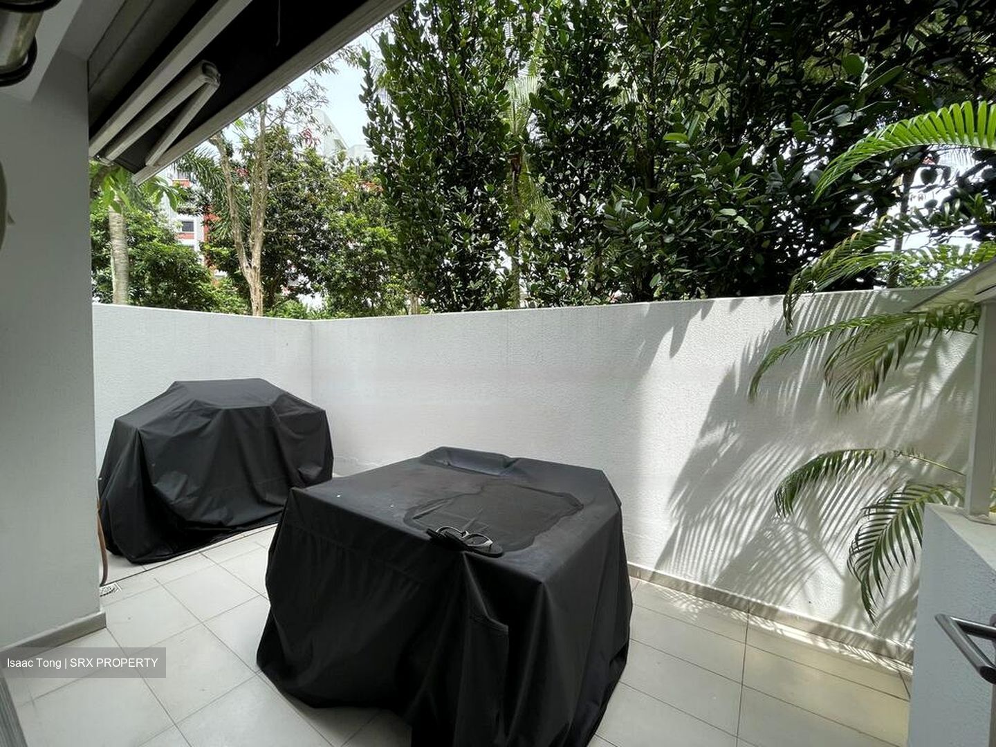 Nim Collection (D28), Terrace #593757291